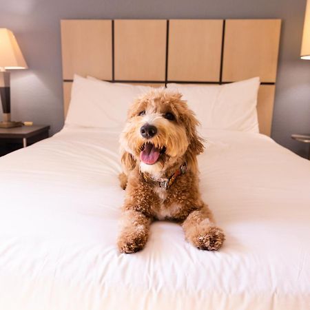 Sonesta Simply Suites Parsippany Morris Plains Exterior foto